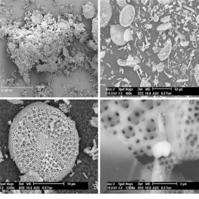  Diatomite: Un Trésor Naturel pour l'Isolation Thermique et la Filtration Efficaces !