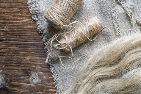 Fibres de Flax - La Force des Anciens pour l'Innovation Textile Moderne !