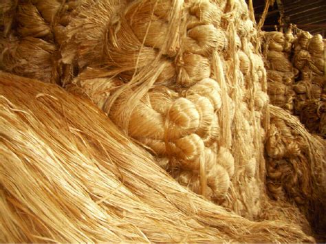  Jute: Une Fibre Naturelle Durable pour des Applications Industrielles Innovantes!