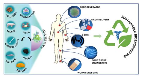  Zéolithe: Biomatériaux révolutionnaires pour une santé régénérée!